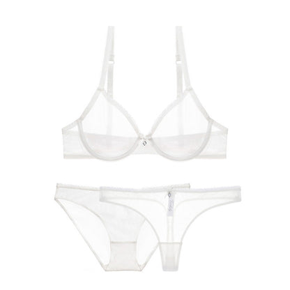 Ultra-thin cup mesh lace underwear transparent unlined 1 bra+2 panties plus size bra set for ladies The Clothing Company Sydney