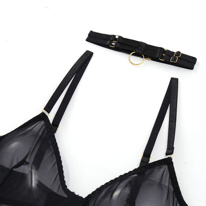4 Piece Lingerie Underwear Bra Garters Brief Sets Transparent Lace Seamless Panties Set The Clothing Company Sydney