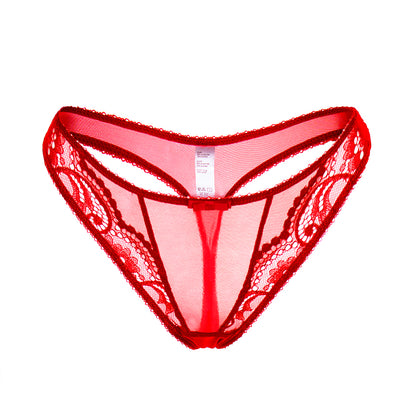 4 Piece Underwear Bra Lingerie Lace Summer Bra +Panty +Garter +Stockings Set The Clothing Company Sydney
