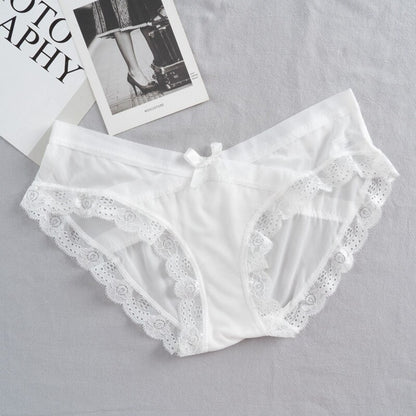 Mesh Women's Panties Hollow Out Briefs Transparent Low Waist Lingerie Breathable High Elasticity Underwear Underpants The Clothing Company Sydney