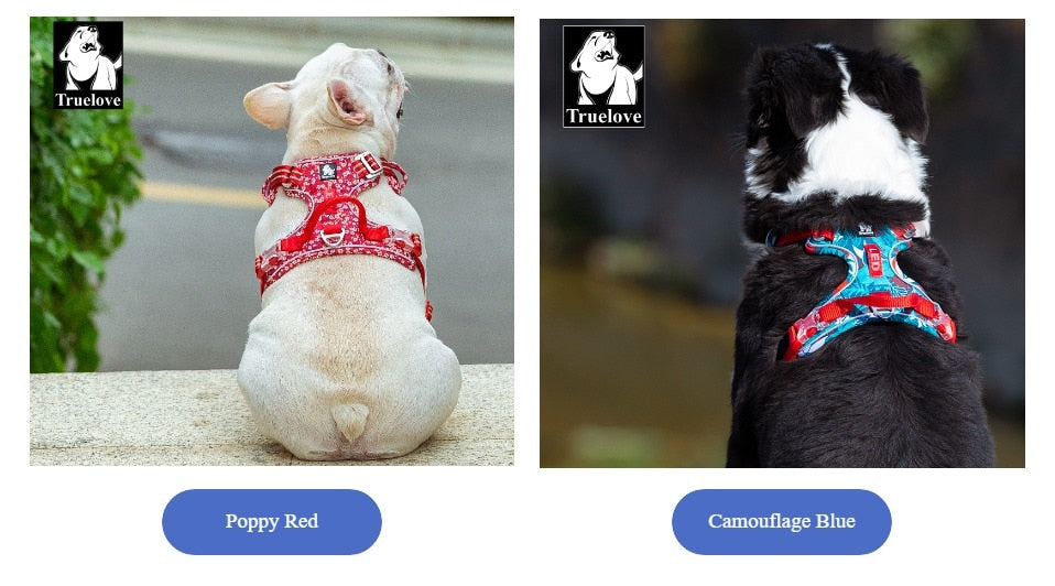 Pet Harness Small Medium Large Split Dog Fashion Outdoor Harness The Clothing Company Sydney