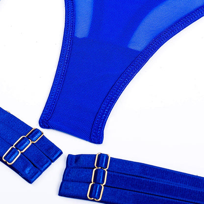 4 Piece Lingerie Underwear Bra Garters Brief Sets Transparent Lace Seamless Panties Set The Clothing Company Sydney