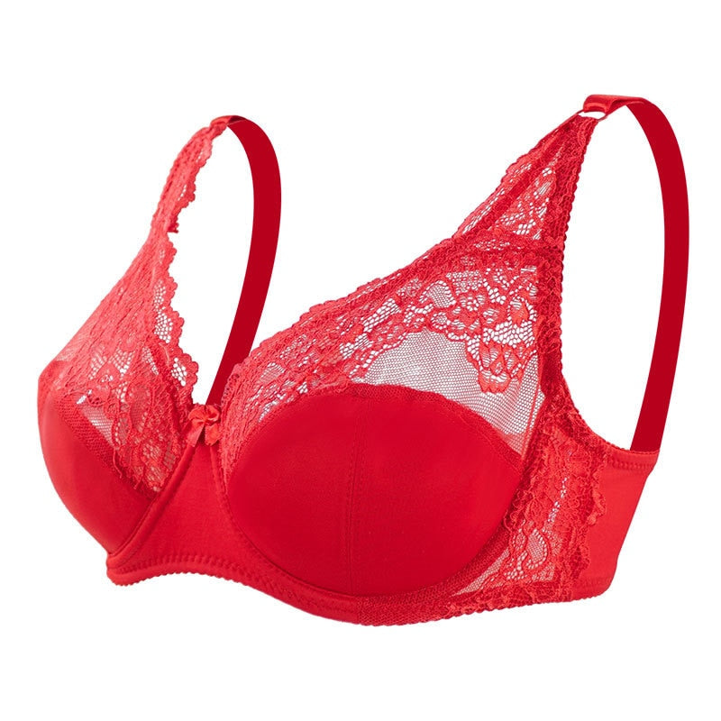 Lace Bras For Women Push Up Crop Top Underwear Seamless Plus Size Bra  Backless Bralette Lingerie Brassiere The Clothing Company Sydney
