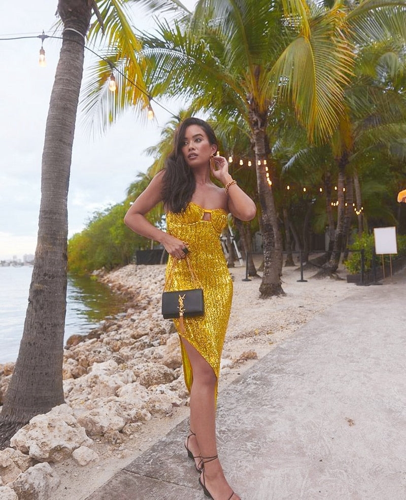 Sequin Dress Women Vacation Beach Backless Dress Split Bodycon Evening Party Dress The Clothing Company Sydney