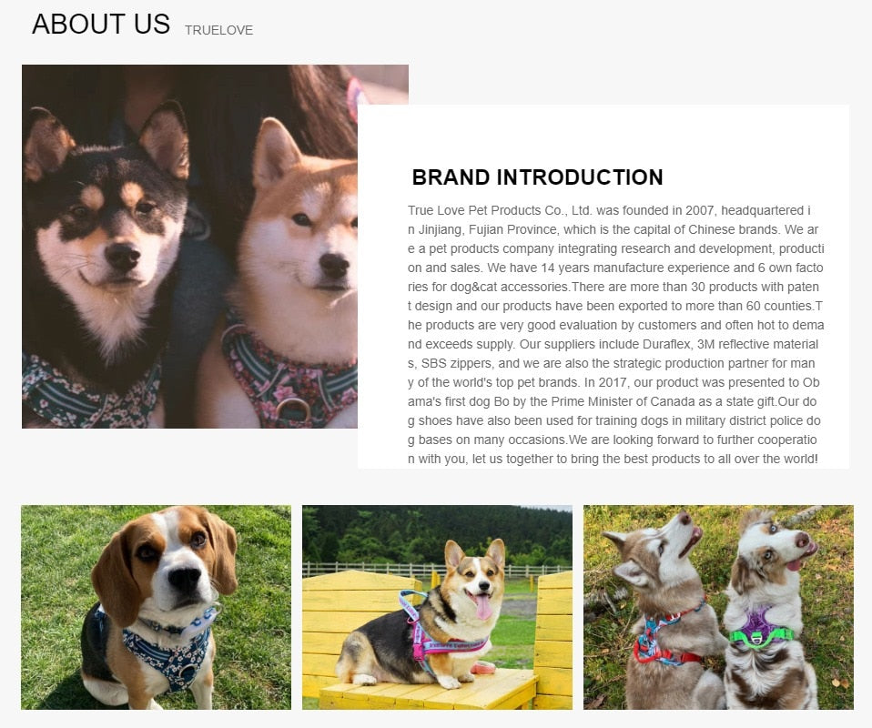 Pet Harness Small Medium Large Split Dog Fashion Outdoor Harness The Clothing Company Sydney