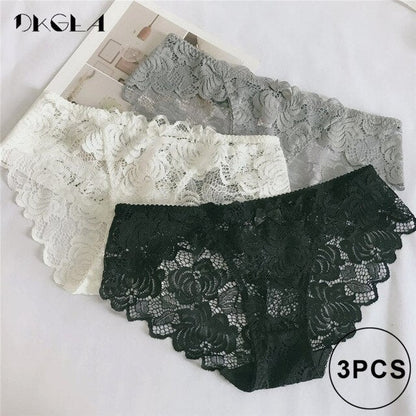 3 Piece Lace Underwear  Plus Size Low rise Transparent Embroidered Panties The Clothing Company Sydney