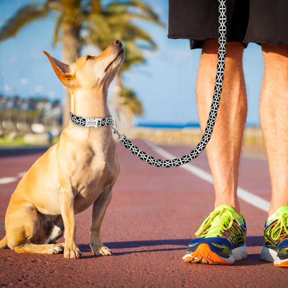 6 Colors Leash Lead Nylon Printed Pet Walking Leash Mesh Padded Running Training Leashes Rope For Small Medium Dogs The Clothing Company Sydney
