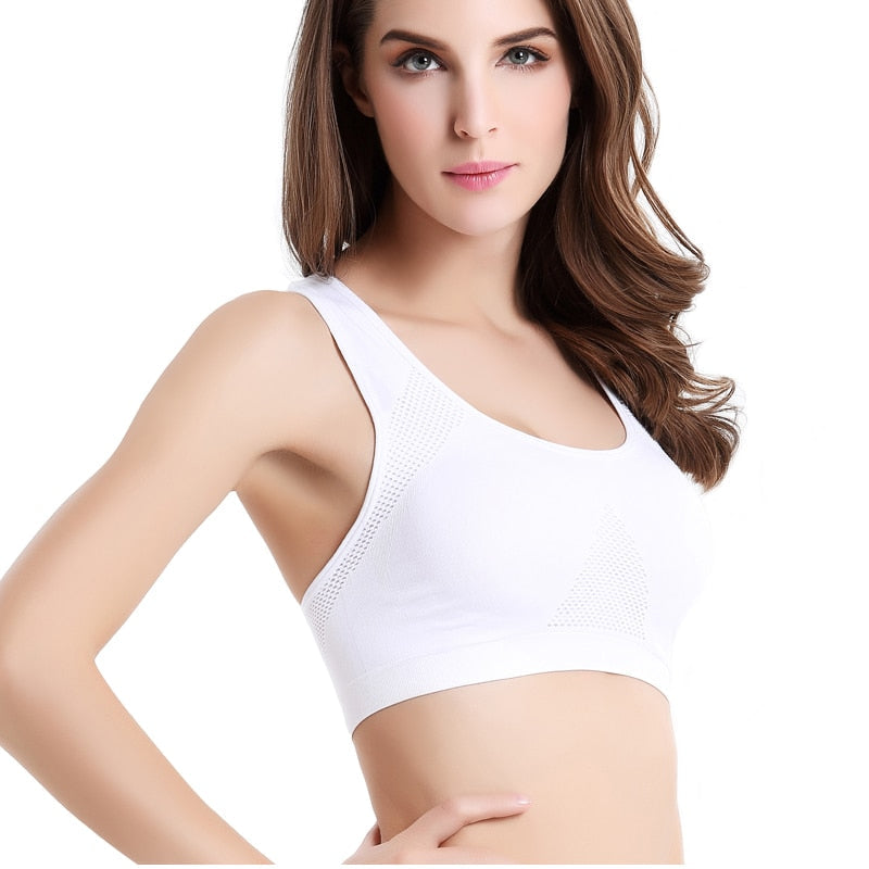 Breathable Sports Bra Absorbent Sweat Shockproof Padded Sports Bra Top Athletic Gym Running Fitness Yoga Sports Top The Clothing Company Sydney