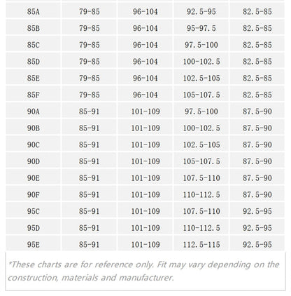 2 Piece Lace Padded Bra Brief Lingerie set The Clothing Company Sydney