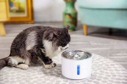 2.4L Automatic Pet Cat Water Fountain with LED Electric USB Dog Cat Pet Mute Drinker Feeder Bowl Pet Drinking Fountain Dispenser The Clothing Company Sydney