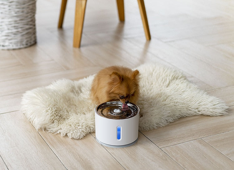 2.4L Automatic Pet Cat Water Fountain with LED Electric USB Dog Cat Pet Mute Drinker Feeder Bowl Pet Drinking Fountain Dispenser The Clothing Company Sydney