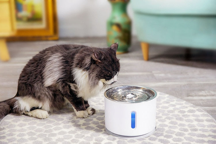 2.4L Automatic Pet Cat Water Fountain with LED Electric USB Dog Cat Pet Mute Drinker Feeder Bowl Pet Drinking Fountain Dispenser The Clothing Company Sydney