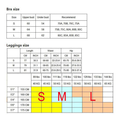2 Piece Sports Gym Fitness Lifting Pants Sportswear Leggings Padded Push-up Seamless Sports Bra Top Set The Clothing Company Sydney