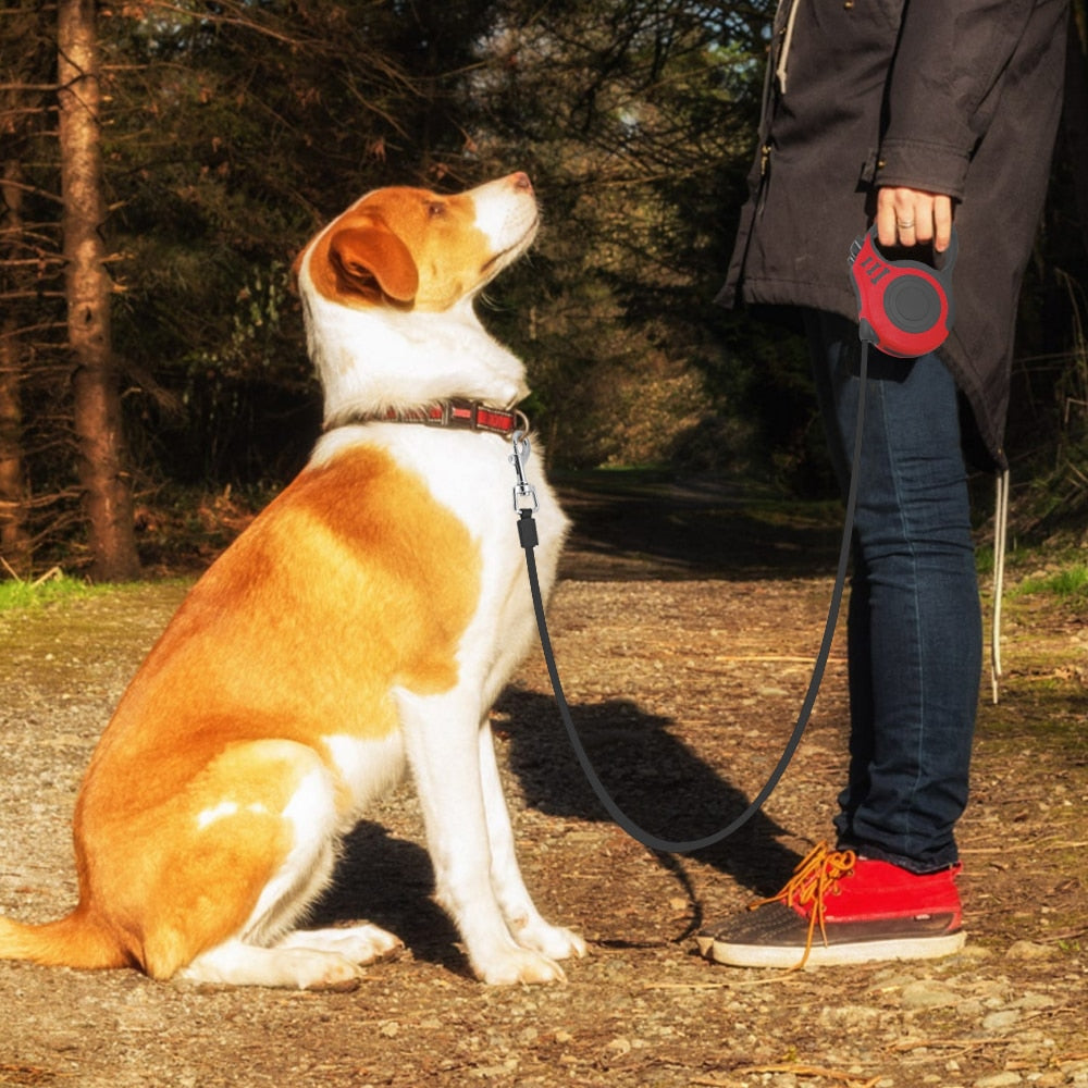 3M/5M Retractable Dog Leash Automatic Rope Pet Running Walking Extending Lead For Small Medium Dogs The Clothing Company Sydney