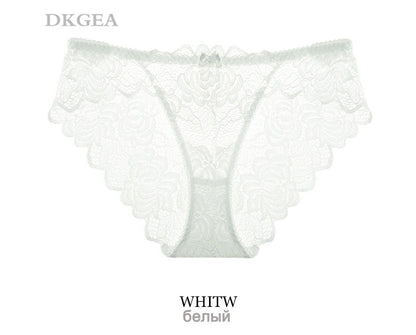3 Piece Lace Underwear  Plus Size Low rise Transparent Embroidered Panties The Clothing Company Sydney