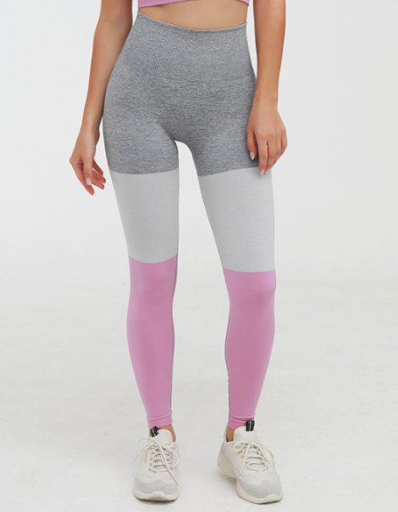 2 Piece Sports Suits Set Yoga Sets Gym Fitness Athletic Pants Sportswear Leggings Bra Seamless Sports Active The Clothing Company Sydney