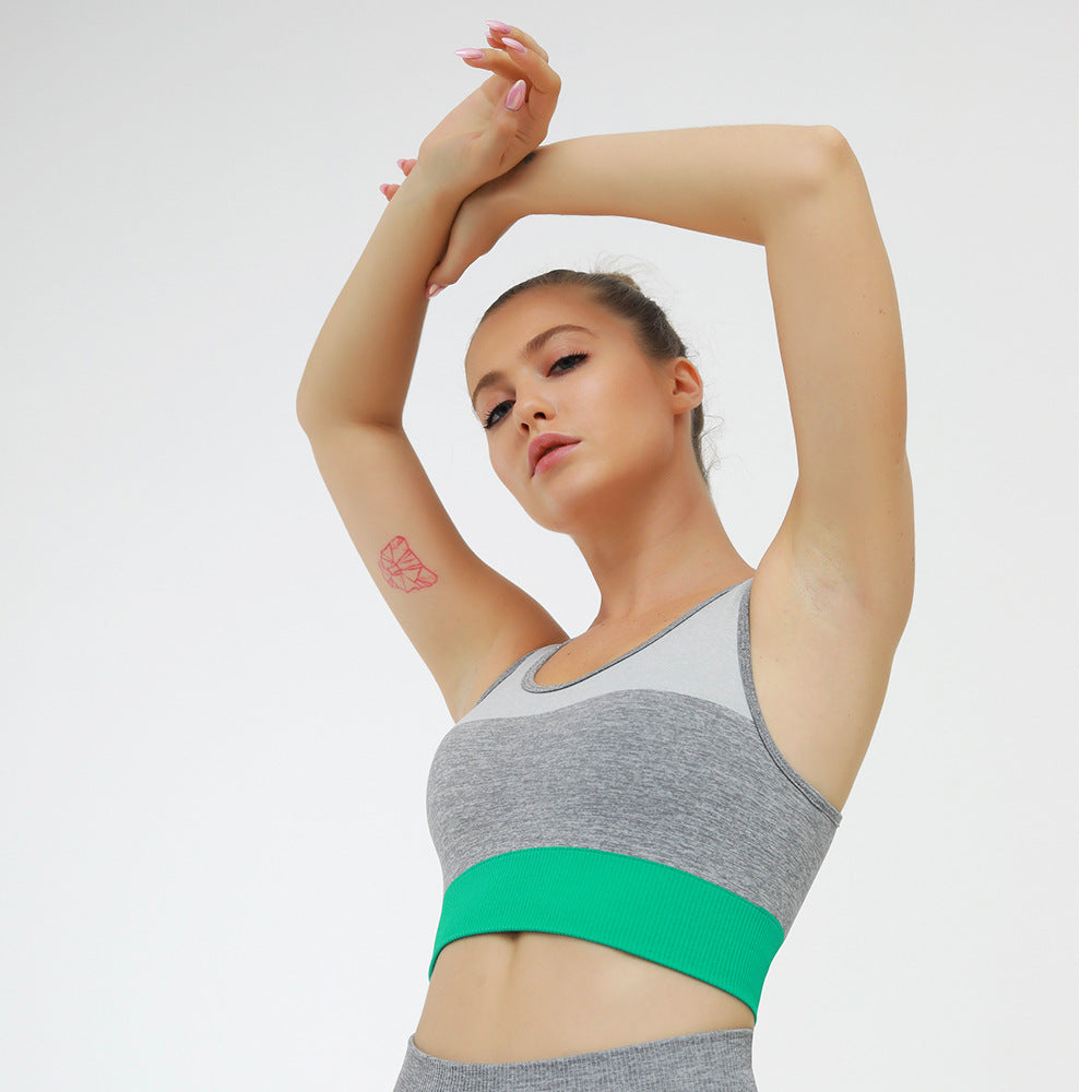 2 Piece Sports Suits Set Yoga Sets Gym Fitness Athletic Pants Sportswear Leggings Bra Seamless Sports Active The Clothing Company Sydney
