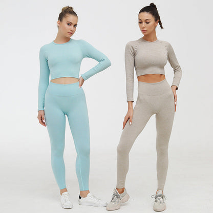 2 Piece Yoga Gym Fitness Athletic Sportswear Leggings Seamless Sports Activewear  Long Sleeve Top Set The Clothing Company Sydney