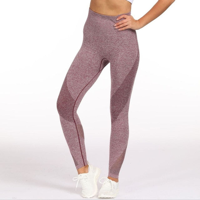 2 Piece Sports Yoga Sets Gym Fitness Athletic Pants Leggings Sportswear Seamless Long Sleep Top Set The Clothing Company Sydney