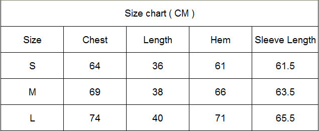 2 Piece Sports Yoga Sets Gym Fitness Athletic Pants Leggings Sportswear Seamless Long Sleep Top Set The Clothing Company Sydney