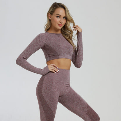 2 Piece Sports Yoga Sets Gym Fitness Athletic Pants Leggings Sportswear Seamless Long Sleep Top Set The Clothing Company Sydney
