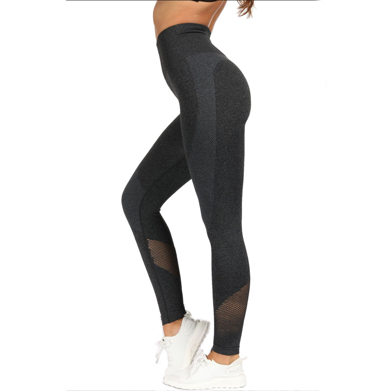 2 Piece Sports Yoga Sets Gym Fitness Athletic Pants Leggings Sportswear Seamless Long Sleep Top Set The Clothing Company Sydney