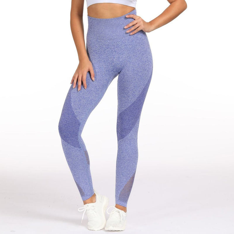 2 Piece Sports Yoga Sets Gym Fitness Athletic Pants Leggings Sportswear Seamless Long Sleep Top Set The Clothing Company Sydney