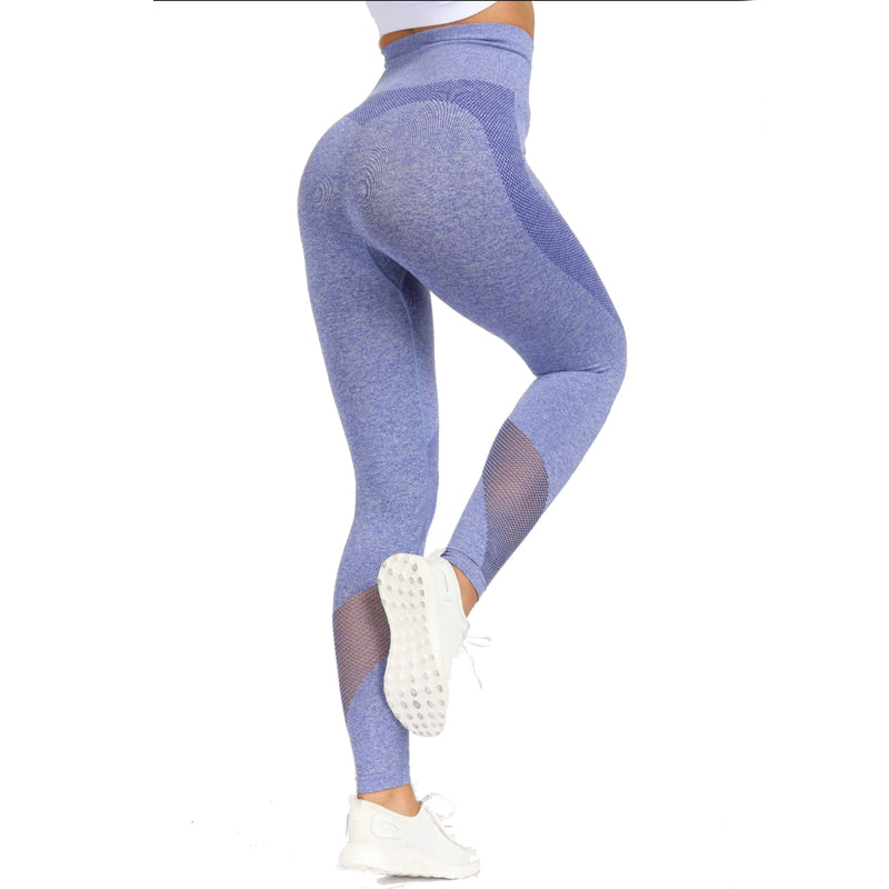 2 Piece Sports Yoga Sets Gym Fitness Athletic Pants Leggings Sportswear Seamless Long Sleep Top Set The Clothing Company Sydney
