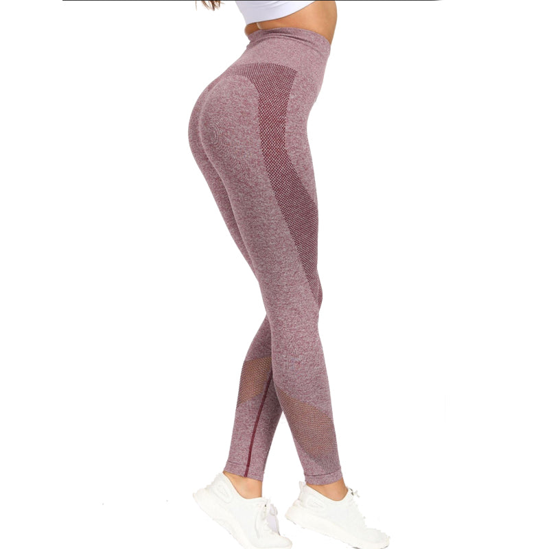 2 Piece Sports Yoga Sets Gym Fitness Athletic Pants Leggings Sportswear Seamless Long Sleep Top Set The Clothing Company Sydney
