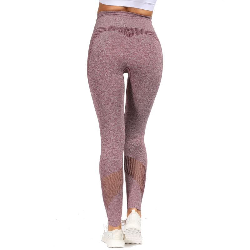 2 Piece Sports Yoga Sets Gym Fitness Athletic Pants Leggings Sportswear Seamless Long Sleep Top Set The Clothing Company Sydney