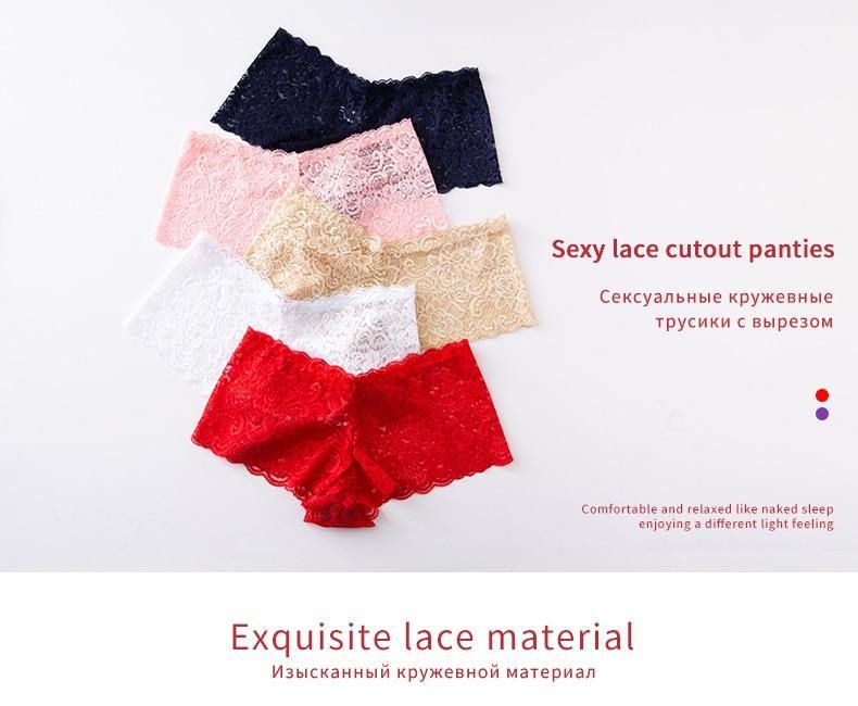 3 Pack Underwear Lingerie Sexy Lace Transparent Panties Briefs High Quality Low Waist Women's Underpants The Clothing Company Sydney