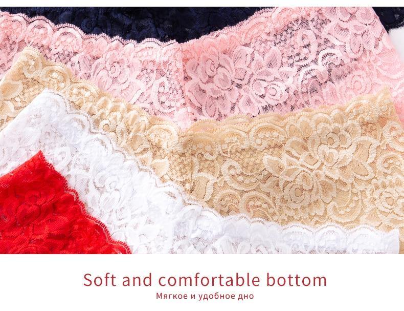 3 Pack Underwear Lingerie Sexy Lace Transparent Panties Briefs High Quality Low Waist Women's Underpants The Clothing Company Sydney