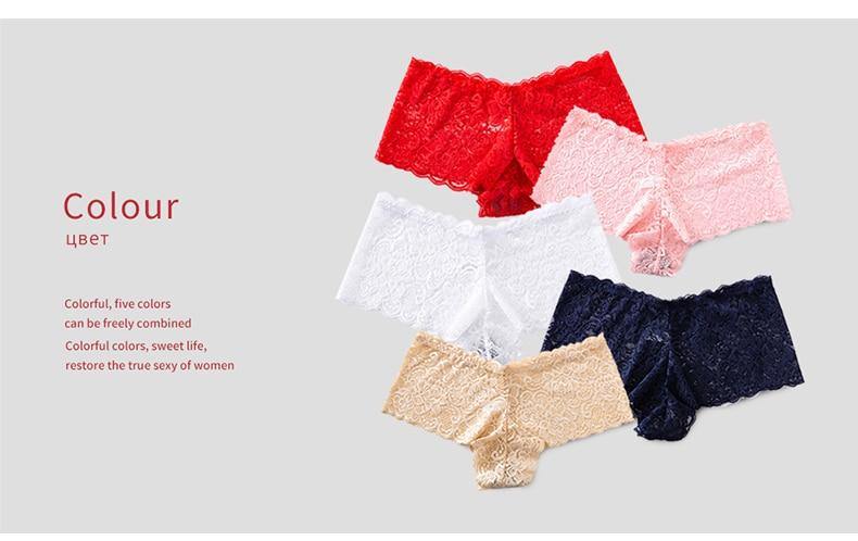 3 Pack Underwear Lingerie Sexy Lace Transparent Panties Briefs High Quality Low Waist Women's Underpants The Clothing Company Sydney