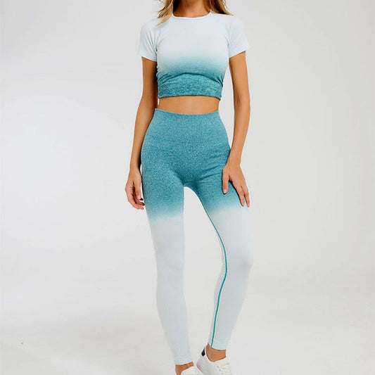 2 Piece Sports Yoga Sets Gym Fitness Athletic Ombre Pants Sportswear Leggings Shirt Seamless Sports Active The Clothing Company Sydney