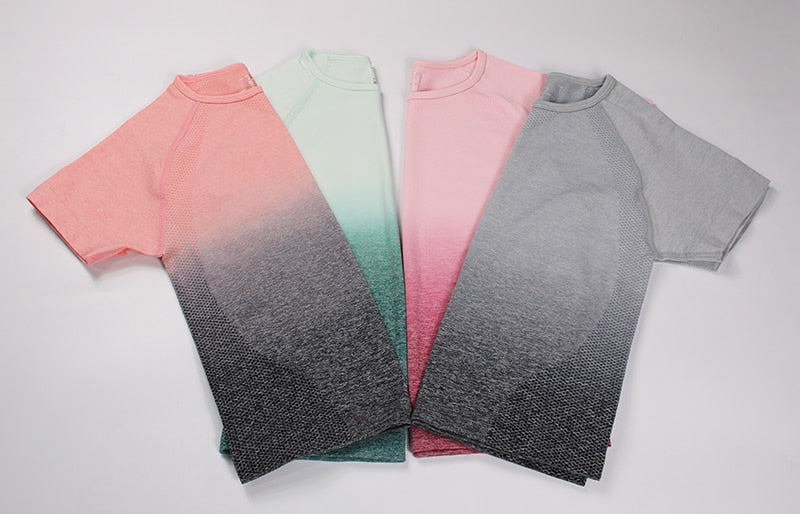 2 Piece Sports Yoga Sets Gym Fitness Athletic Ombre Pants Sportswear Leggings Shirt Seamless Sports Active The Clothing Company Sydney