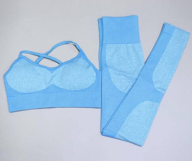 2 Piece Seamless yoga Fitness Sports Suits Gym Tank Belt Bra Tops High Waist Running Leggings Workout Pants+Bras Set The Clothing Company Sydney