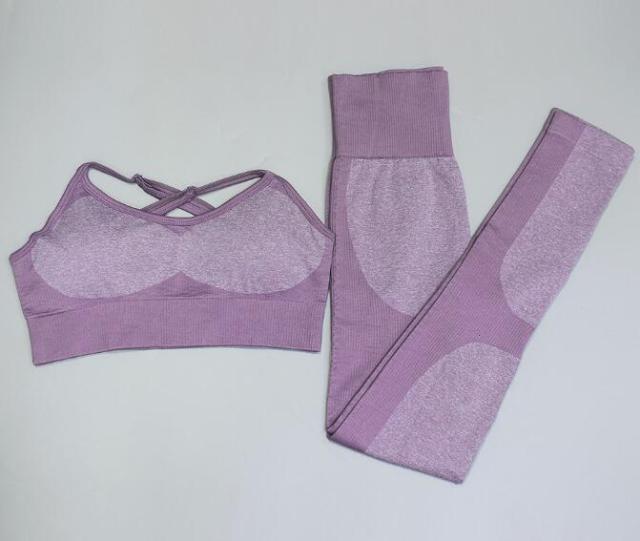 2 Piece Seamless yoga Fitness Sports Suits Gym Tank Belt Bra Tops High Waist Running Leggings Workout Pants+Bras Set The Clothing Company Sydney