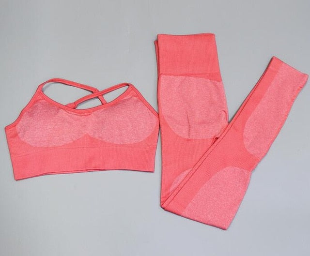 2 Piece Seamless yoga Fitness Sports Suits Gym Tank Belt Bra Tops High Waist Running Leggings Workout Pants+Bras Set The Clothing Company Sydney