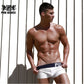 8 Colors Mens Popular Plus Size Underwear Breathable Cotton Spandex Underpants Panties Solid Man Shorts Boxers Trunks The Clothing Company Sydney