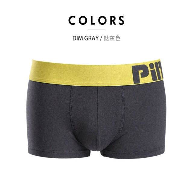 8 Colors Mens Popular Plus Size Underwear Breathable Cotton Spandex Underpants Panties Solid Man Shorts Boxers Trunks The Clothing Company Sydney