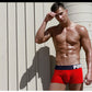 8 Colors Mens Popular Plus Size Underwear Breathable Cotton Spandex Underpants Panties Solid Man Shorts Boxers Trunks The Clothing Company Sydney