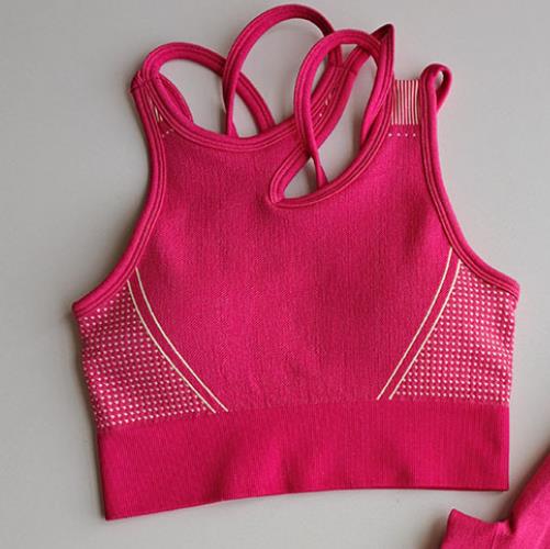 2 Piece Seamless Sports Bras Fitness Shorts Yoga Set Gym Breathable Stretch Sports Suit Running Training Wear The Clothing Company Sydney