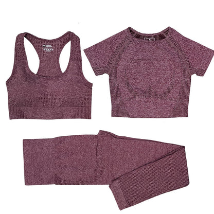 3 Piece Ladies Seamless Vital Yoga Workout Sport Pants Bra Gym Short Crop Top High Waist Running Leggings Sports Set The Clothing Company Sydney