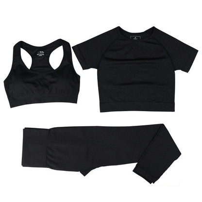 3 Piece Ladies Seamless Vital Yoga Workout Sport Pants Bra Gym Short Crop Top High Waist Running Leggings Sports Set The Clothing Company Sydney