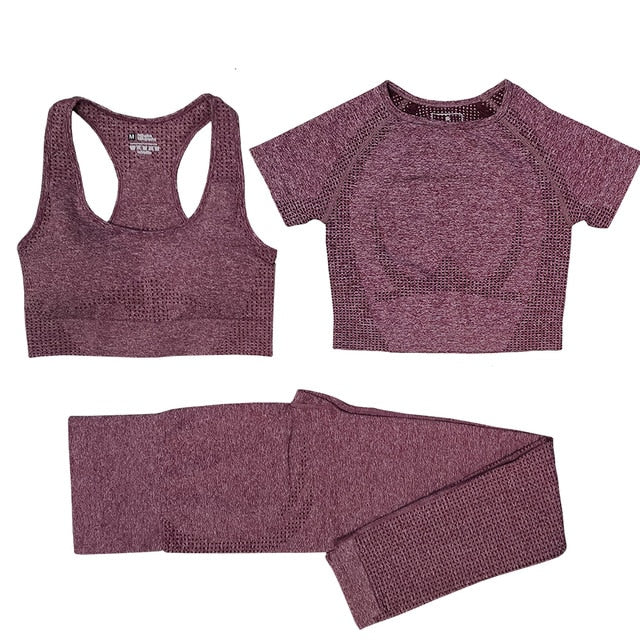 3 Piece Ladies Seamless Vital Yoga Workout Sport Pants Bra Gym Short Crop Top High Waist Running Leggings Sports Set The Clothing Company Sydney