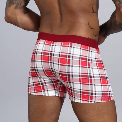Men's Short Underwear Cotton Boxer Breathable Shorts Boxers Underpants The Clothing Company Sydney