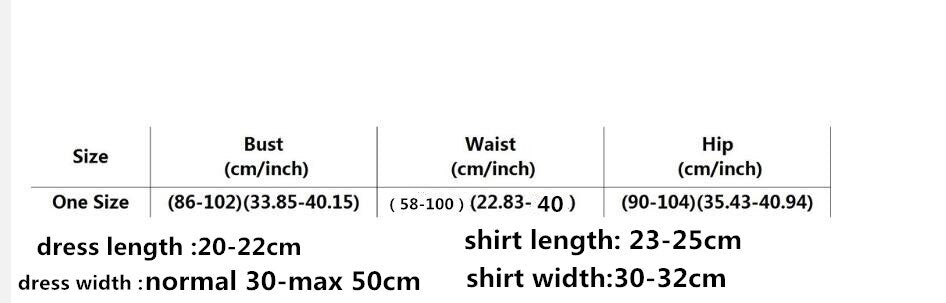 2 Piece Ladies Sexy Cosplay Lingerie Student Uniform Set White Crop Shirt Red Plaid Miniskirt Outfit Exotic Costumes The Clothing Company Sydney