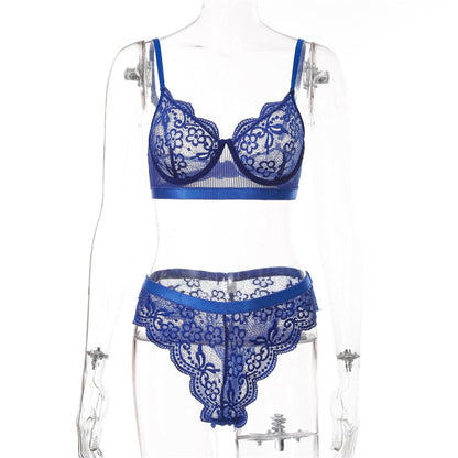2 Piece Lingerie Lace Underwear Transparent Bra Brief Panties Blue Lingerie Set The Clothing Company Sydney