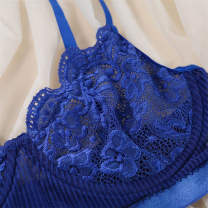 2 Piece Lingerie Lace Underwear Transparent Bra Brief Panties Blue Lingerie Set The Clothing Company Sydney
