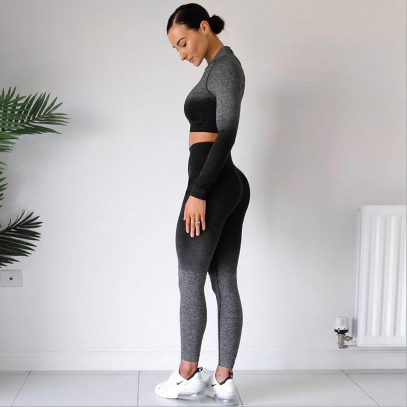 2 Piece Seamless Yoga Gym High Waist Ombre Leggings Shirts Top Suit Long Sleeve Fitness Workout Sport  Sportswear Set The Clothing Company Sydney